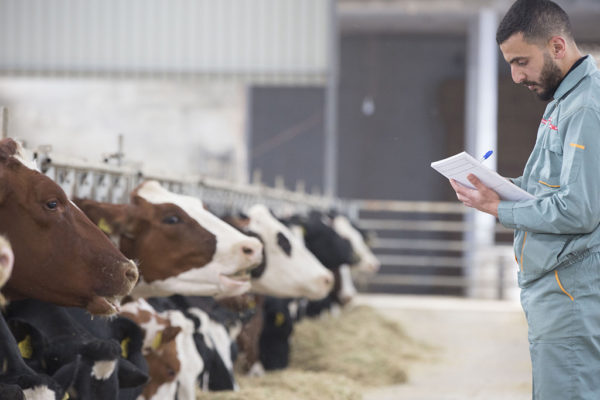 Al-Janoub-Farm-dairy-yogurt-cheese-lebanon-21