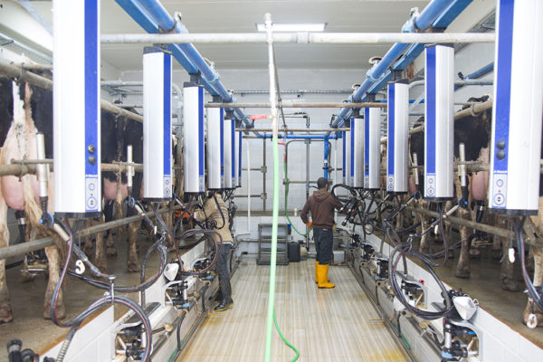 Al-Janoub-Farm-dairy-yogurt-cheese-lebanon-45