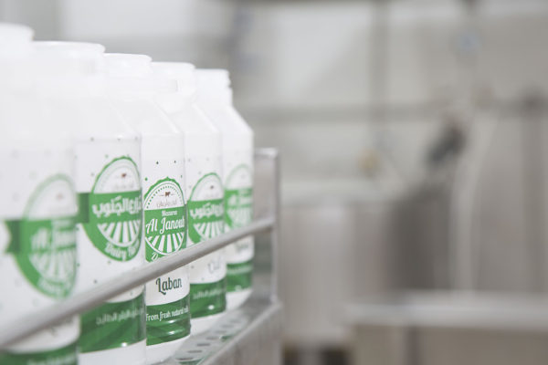 Al-Janoub-Farm-dairy-yogurt-cheese-lebanon-55