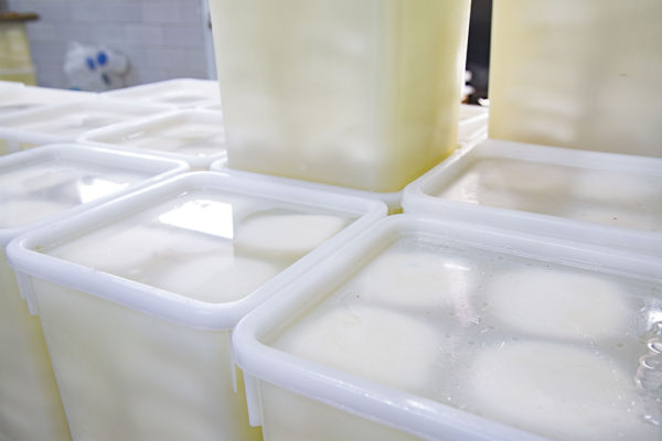 Al-Janoub-Farm-dairy-yogurt-cheese-lebanon-56