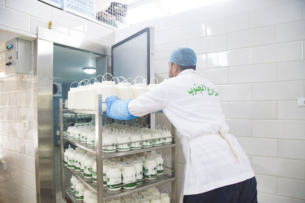 Al-Janoub-Farm-dairy-yogurt-cheese-lebanon-60